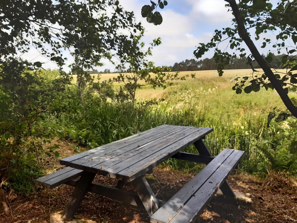 Rejkjaer Camping Hytter & Lejligheder Ulfborg Εξωτερικό φωτογραφία
